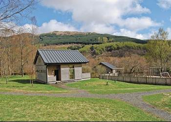 Click here for more about Silver Birch 2
