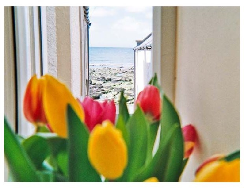 Scottish Cottage Holidays - Ellie-Ann Cottage